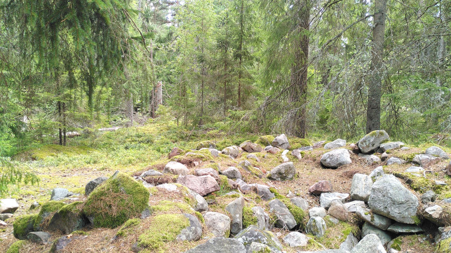 Gravfält i Färsna naturreservat